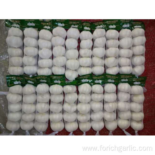 Fresh High Quality Pure White Garlic